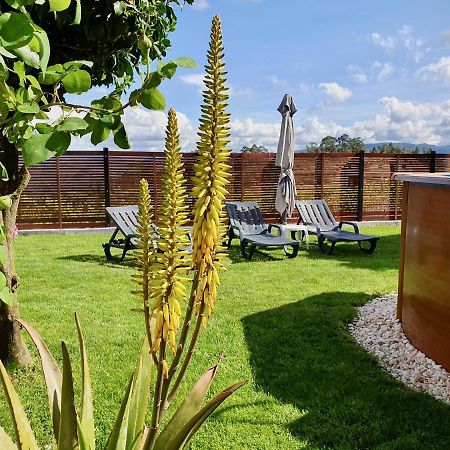 Rosinha Country House Vale de Cambra Exterior foto