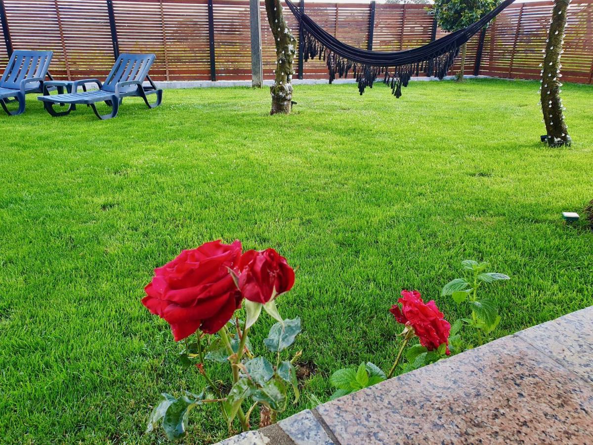 Rosinha Country House Vale de Cambra Exterior foto