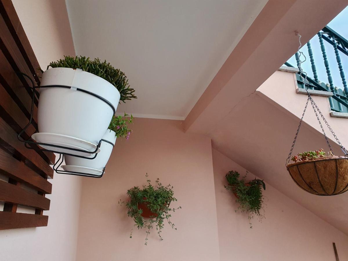 Rosinha Country House Vale de Cambra Exterior foto